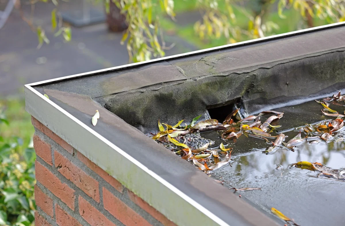 Roof Drains and Scuppers